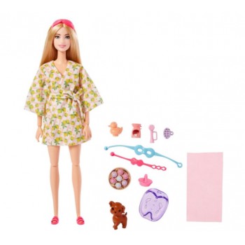 Papusa Barbie accesorii si...